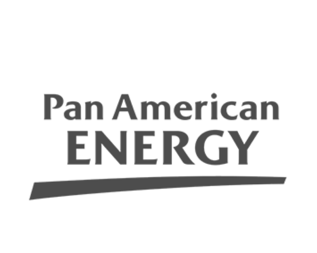 Pan American Energy logo